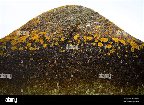 Sentier des douaniers Fotos und Bildmaterial in hoher Auflösung Alamy