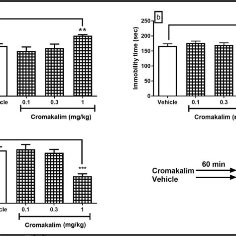 Effect Of Different Doses Of Cromakalim 0 1 0 3 And 1 Mg Kg I P