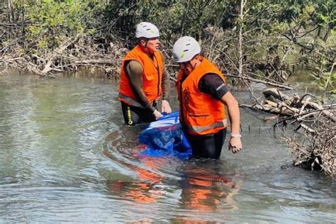 Encuentran cuerpo sin vida en ribera del Río Ñuble La Discusión