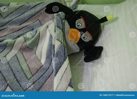 Good Night - Soft Toy Penguin on a Pillow Stock Image - Image of ...