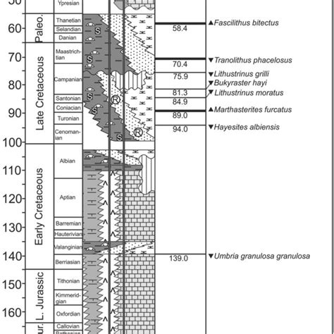 Mauritanian Chronostratigraphy And Biostratigraphy Up Down Arrows