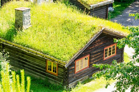 Green Roofs Examples Of Unique Eco Friendly Roofs Modernize