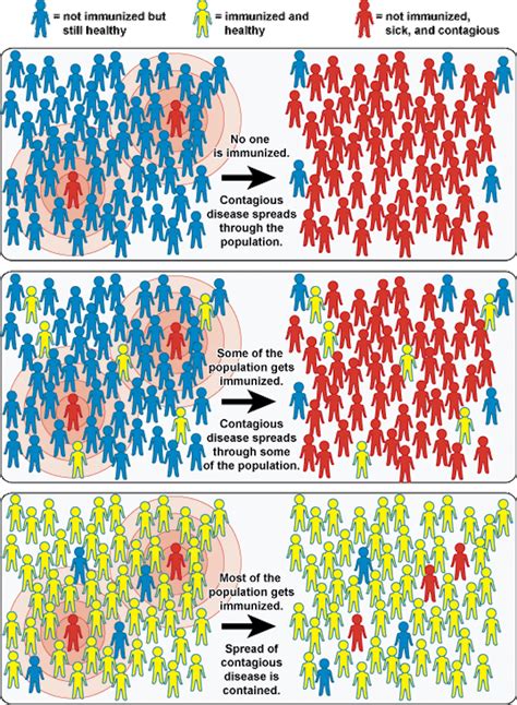 What Is Herd Immunity