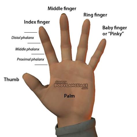 If You Do Not Know Which Finger Is Which Look Here I Called Pinky