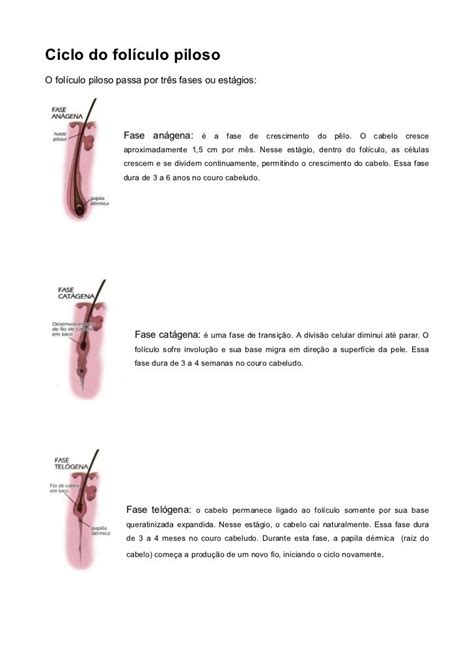 TRICOLOGIA FICHA DE ANAMNESE Extensões de cílios Dicas de cílios