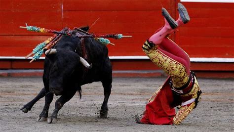 La Tauromaquia