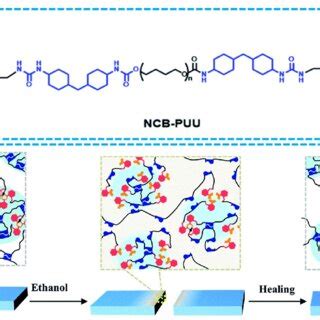 A Chemical Structure Of The NCB PUU B Schematic Diagram Of The Healing