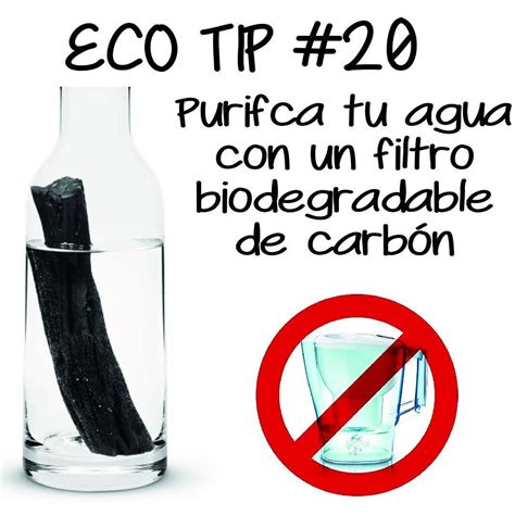 Purifica Tu Agua Con Un Filtro Biodegradable De Carb N En