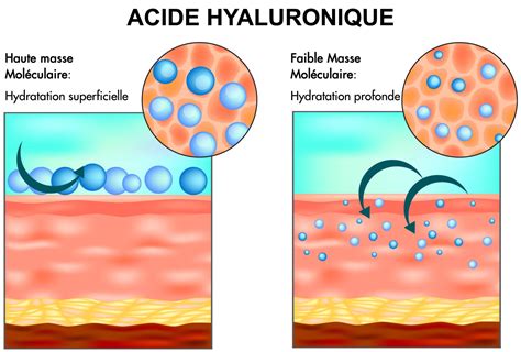 Ntroduire Imagen Formule Acide Hyaluronique Fr Thptnganamst Edu Vn