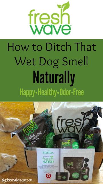 How To Ditch That Wet Dog Smell #HappyHealthyOdorFree