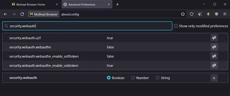 Mullvad Browser - A first glance