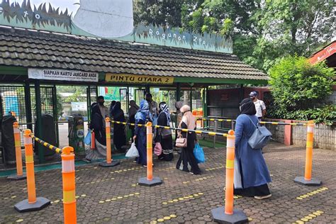 Taman Margasatwa Ragunan Dibuka Hari Ke 2 Lebaran Kapasitas Pengunjung