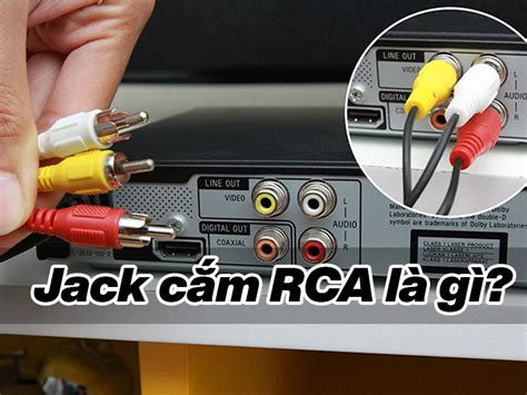 Jack cắm RCA là gì Chức năng của RCA mà bạn nên biết