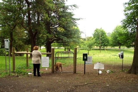 Dog Parks Portland: Unleash The Fun At Dog Parks