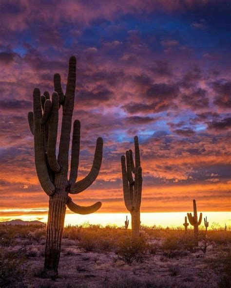 Pin By Todd Powers On Beautiful Sunsets Arizona Photography Arizona