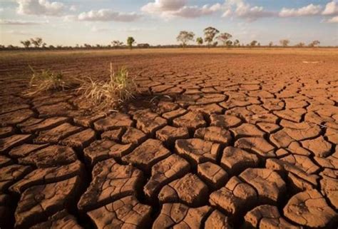 Lebih 50 000 Keluarga Terjejas Akibat Musim Kemarau Landa Sri Lanka