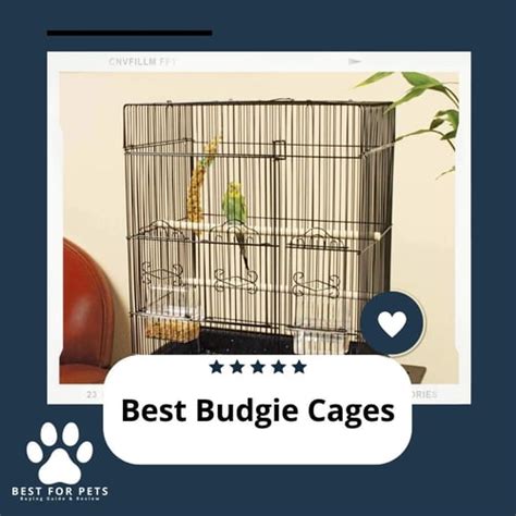 The 10 Best Budgie Cages Of 2023