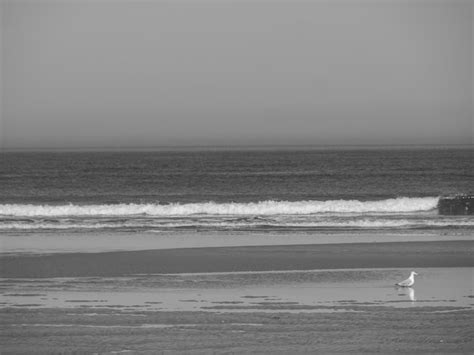 Premium Photo | Langeoog beach