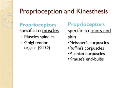 Chapter 2 Neuromuscular Fundamentals Ppt Series 2c Ppt Download