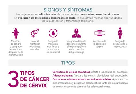 Cancer De Hueso Sintomas Signos Tratamiento Causas Y Etapas Images