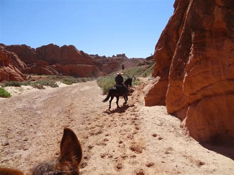 Dream Packer Trail Adventures: Buckskin Gulch, Utah