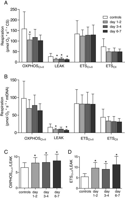 Adjusted Mitochondrial Respiration Mitochondrial Respiration In