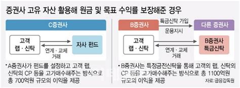 랩·신탁 돌려막기 제재 곧 돌입레고랜드 상황 고려해줘야 네이트 뉴스