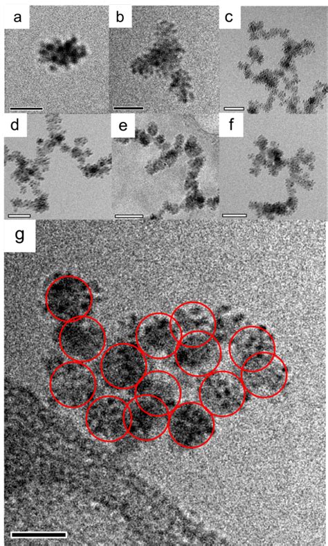 Figure S9. Cryo-TEM images of 1. (a) Individual particle, with visible ...