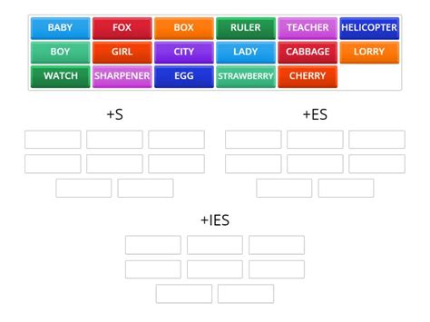 PLURAL NOUNS - Group sort