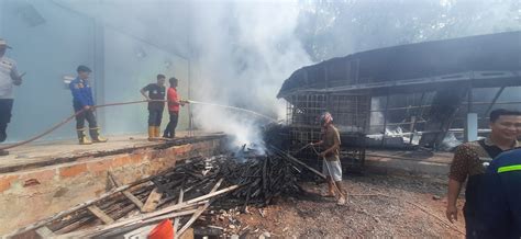 Api Pembakaran Sampah Lahap Gudang Penimbunan Minyak Goreng Jelantah