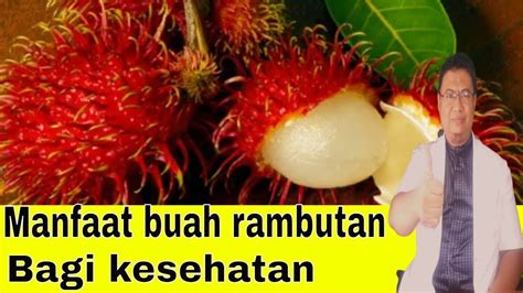 Enak Dan Sehat Ini Manfaat Buah Rambutan Untuk Kesehatan Mau Tahu