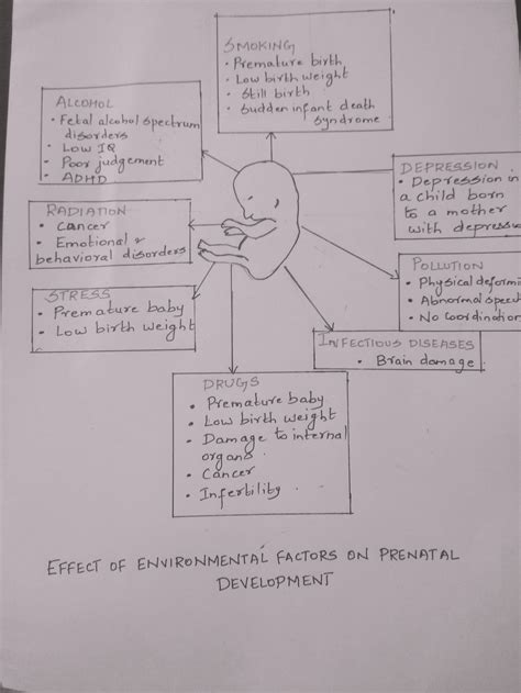 Solved How Do I Develop A Chart Or Diagram That Will Illustrate How