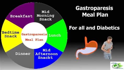 Reliable Gastroparesis Meal Plan For All And Diabetics Patients