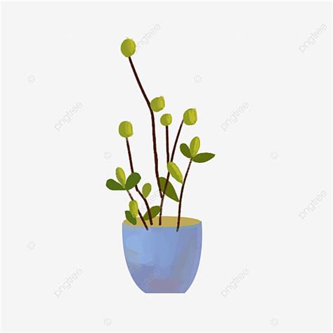 Plant Pots Hd Transparent Potted Plants Green Plants Plant Green