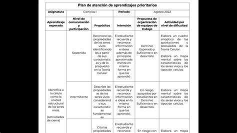 Plan de atención de aprendizajes prioritarios Ejemplo 1 YouTube