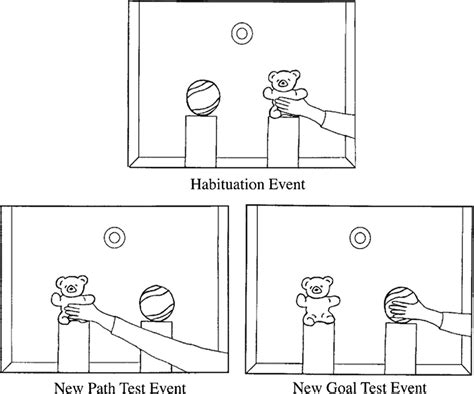 Habituation and test stimuli from an experiment by Woodward (1998) on ...