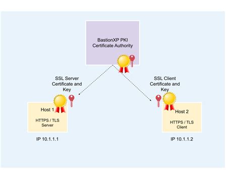 Creating A Self Signed X Certificate Using Openssl On Windows Hot Sex