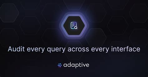 audit  query   interface