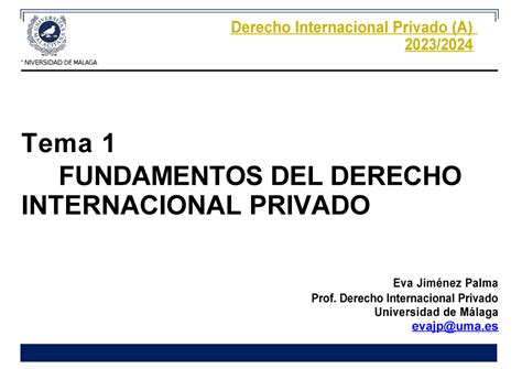 Tema I Dip Apuntes Del Tema De Derecho Internacional Publico