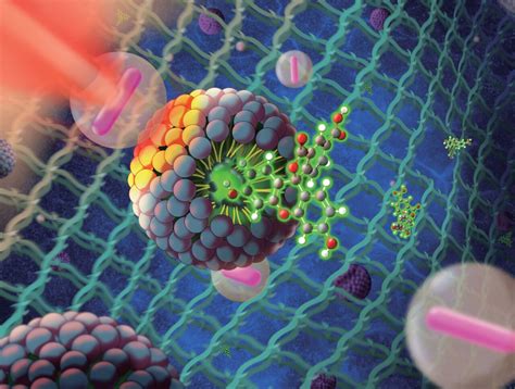 Investigadores Da Universidade Do Minho Fazem Progressos No Combate Ao