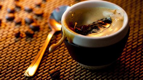 Что скрывается за модными названиями кофе | Macchiato, Cappuccino, Espresso