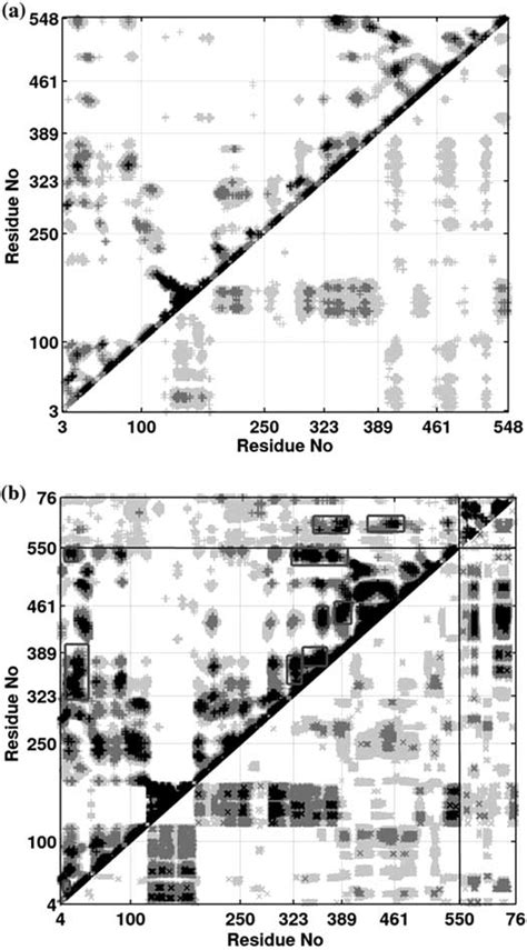 Dynamical Cross Correlation Map Dccm Representing The Collective Atom