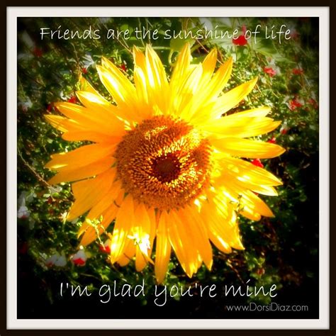 Sunflower Friendship Quotes. QuotesGram | Sunflower quotes, Friendship ...