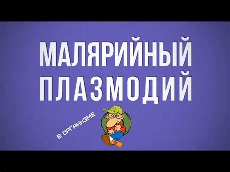 Жизненный цикл малярийного плазмодия Часть 1 - YouTube