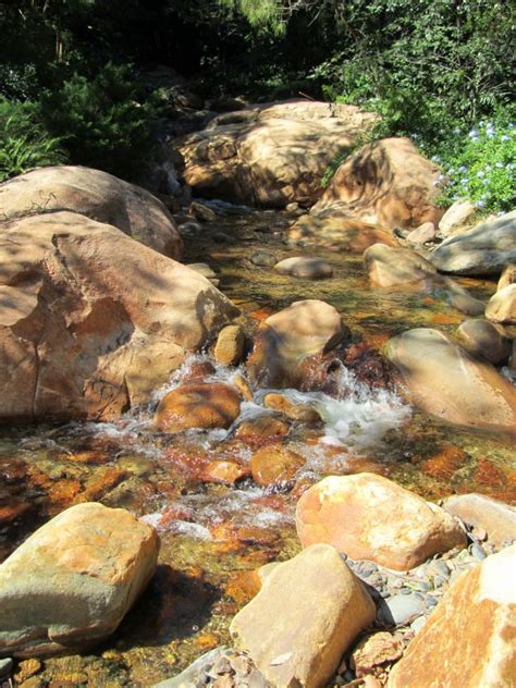 Fotos Gratis Naturaleza Bosque Al Aire Libre Rock Desierto R O