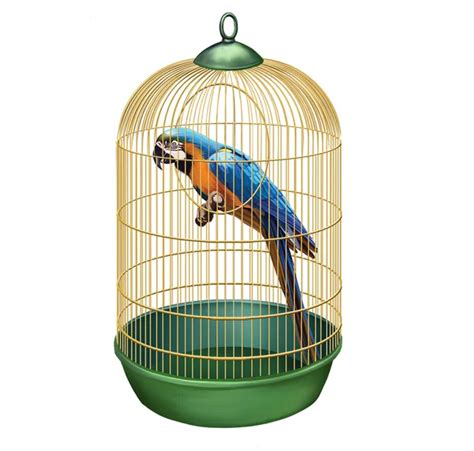 Parrot in a retro cage. Big Blue macaw (Ara ararauna) in bird cage — Stock Photo © YuliaAvgust ...