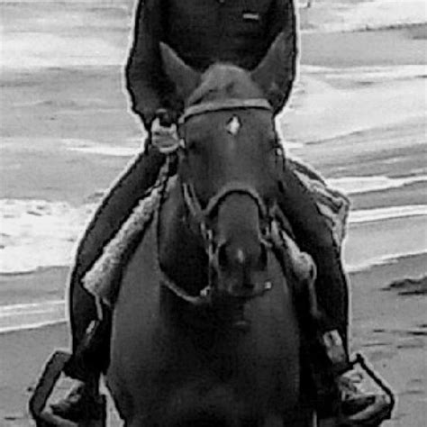 Beach Ride Five Brooks At Bodega Bay