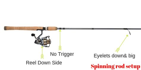 Baitcaster vs Spinning Reel with Pros and Cons [Buying guide]