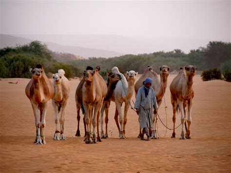 Circuit découverte de l adrar Adrar hors du temps de Maaden à la