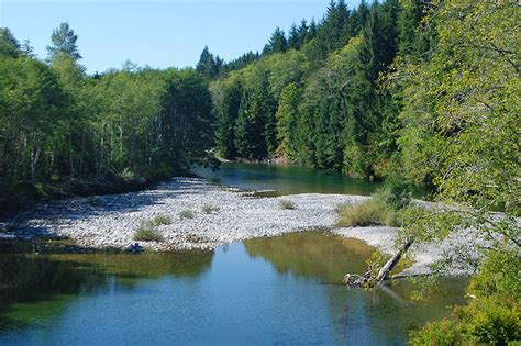 Port Renfrew British Columbia Travel And Adventure Vacations